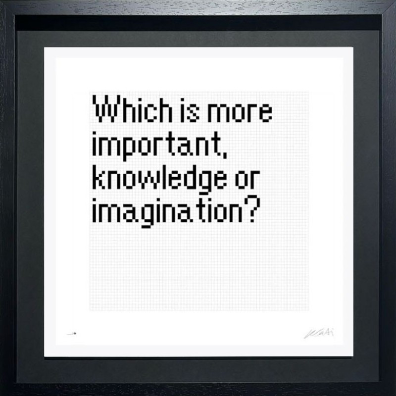 Ai Weiwei - 81 Questions - Which is more important knowledge or imagination? (53/81)